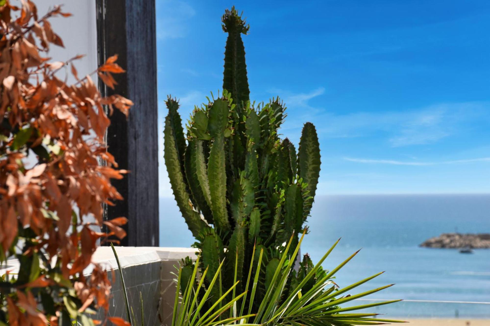 Luxury Seafront Appartement 6-7P アガディール エクステリア 写真